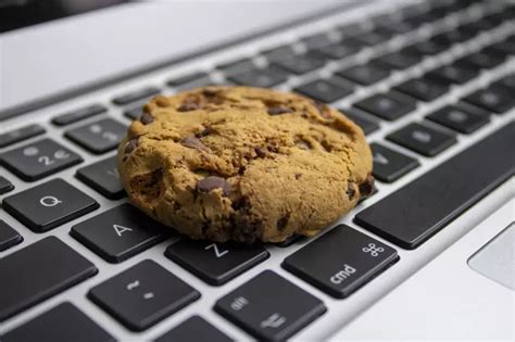 What Are Computer Cookies? Definition, Types and Protection