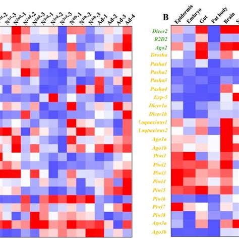 Spatiotemporal Expression Profiles Of Core Genes Of Three RNA