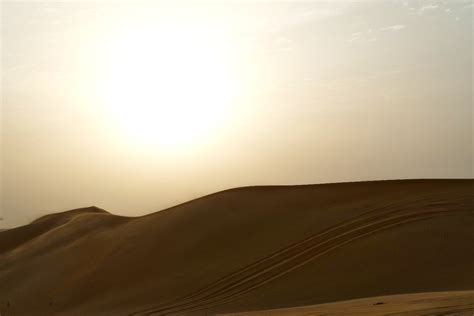 Free Images Landscape Sand Horizon Prairie Desert Plain