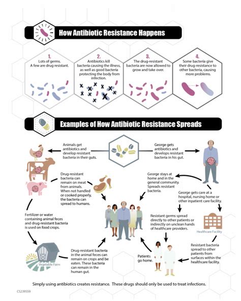 What Is Antibiotic Resistance Antibiotic Resistance Action Center Milken Institute School