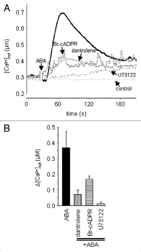 A Changes In Ca Cyt Of Arabidopsis Cells Expressing The