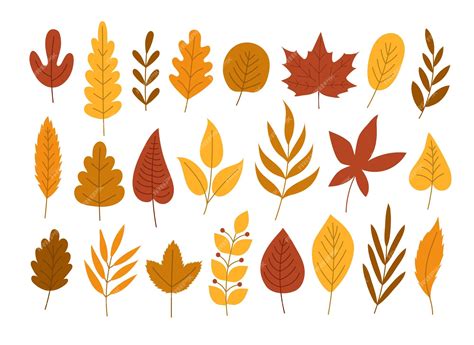 Premium Vector Colorful Autumn Set Of Leaves Vector Illustration Clipart