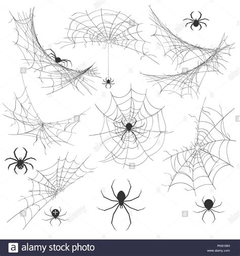 Venom Spider with Cobweb for Halloween Background