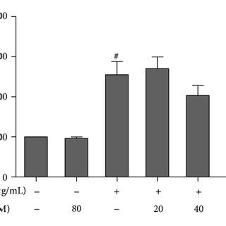 Tsg Inhibited Lps Induced Ros Production And Nadph Oxidase Activation