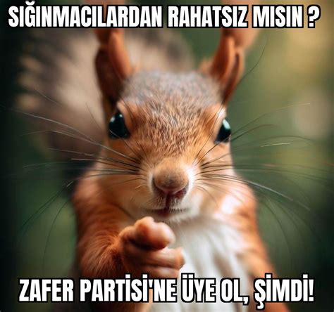 Özdağın Sincabı on Twitter Mücadeleye katıl Zafer Parti li ol