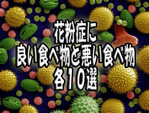 花粉症対策に良い食べ物と悪い食べ物各10選 Youtube