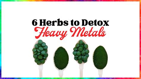 6 Herbs To Detox Heavy Metals