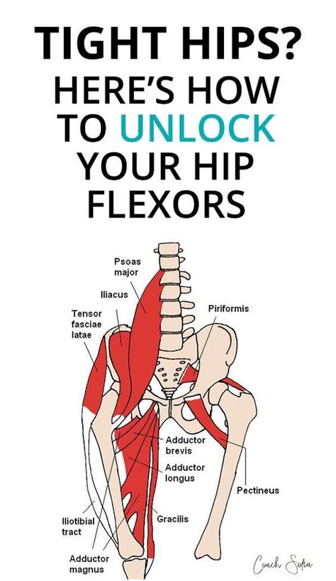 Pin On Hip Flexors Stretches