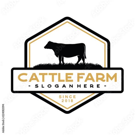 Vintage Cattle Beef Logo Design Inspiration Vector Vetor Do Stock Adobe Stock