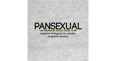 Pansexual Definition Pansexual T Shirt Teepublic