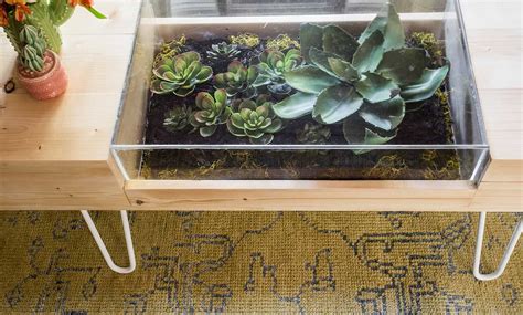 Diy Terrarium Coffee Table A Beautiful Mess