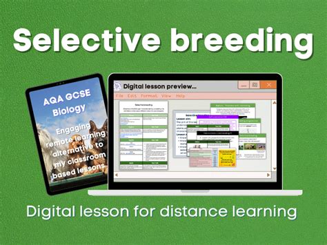 Selective Breeding Distance Learning Teaching Resources