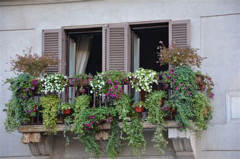 An Open Window Filled With Lots Of Flowers And Greenery Next To A