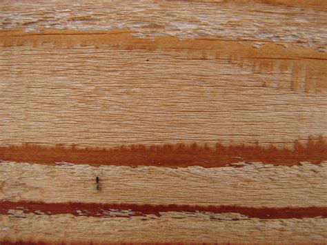 Cedar Wood Siding Texture 7 By Fantasystock On Deviantart