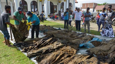 Foto Penemuan Jenazah Korban Tsunami Aceh Bikin Kaget Warga Foto