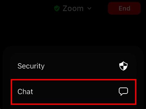 Using Zoom Chat How To Chat In A Zoom Meeting Ionos