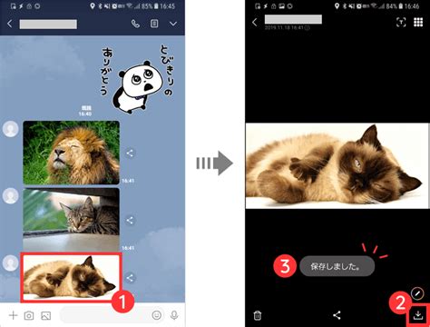 Lineの写真や動画の保存先（保存場所）はどこ？