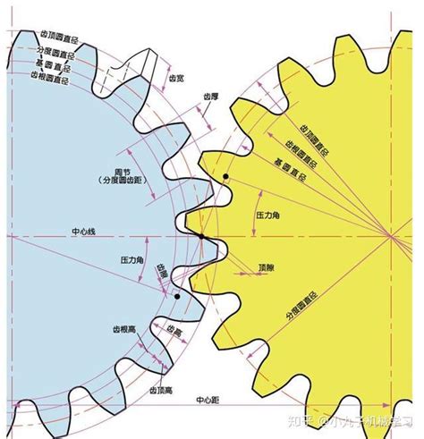 齿轮知识轻松学（每天学点齿轮知识） 知乎