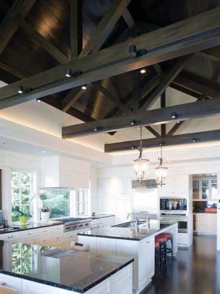 Track Lighting For Vaulted Kitchen Ceiling – Things In The Kitchen