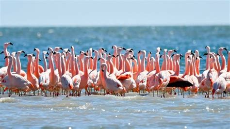 Córdoba tiene un nuevo Parque Nacional