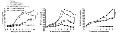 Il 2 A Il 4 B And Ifn γ C Levels In The Supernatant Of Download Scientific Diagram