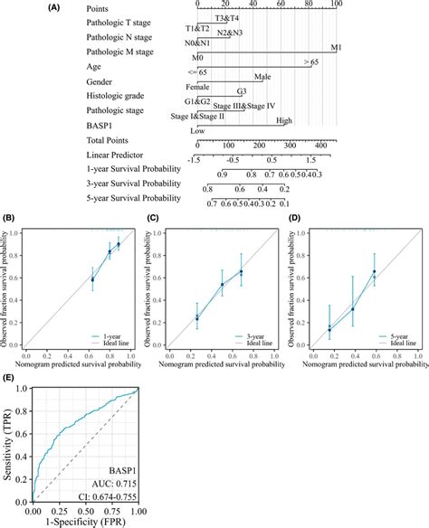 ROC Curve And Nomogram A Nomogram To Predict 1 3 And 5 Years Of OS