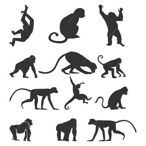 Premium Vector Vector Set Of Monkey And Its Silhouette