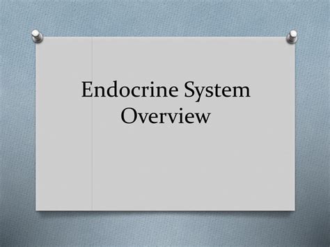 Ppt Endocrine System Overview Powerpoint Presentation Free Download