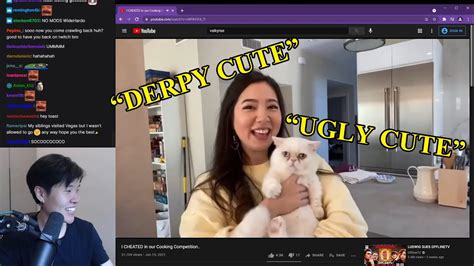 Disguised Toast Reacts To Fuslies Cat Sock Youtube