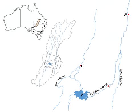 Location of Yantabulla Swamp (Y) within the Paroo and Warrego River ...