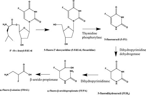 Figure From The Achievement Of Mass Balance By Simultaneous