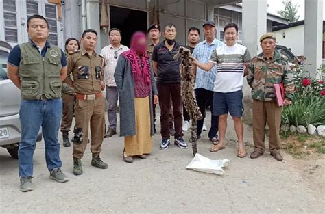 Clouded Leopard Skin Seized One Arrested The Arunachal Times