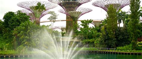 Giardini Botanici Di Singapore Una Meraviglia Da Scoprire Buonotourist