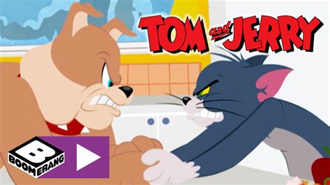 Tom And Jerry Hungry Pup Boomerang Uk Youtube