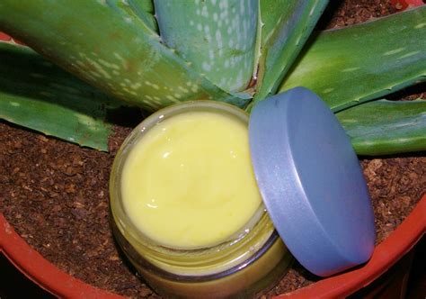 Crema Pieles Maduras De Aloe Vera Sabila Crema De Aloe Vera