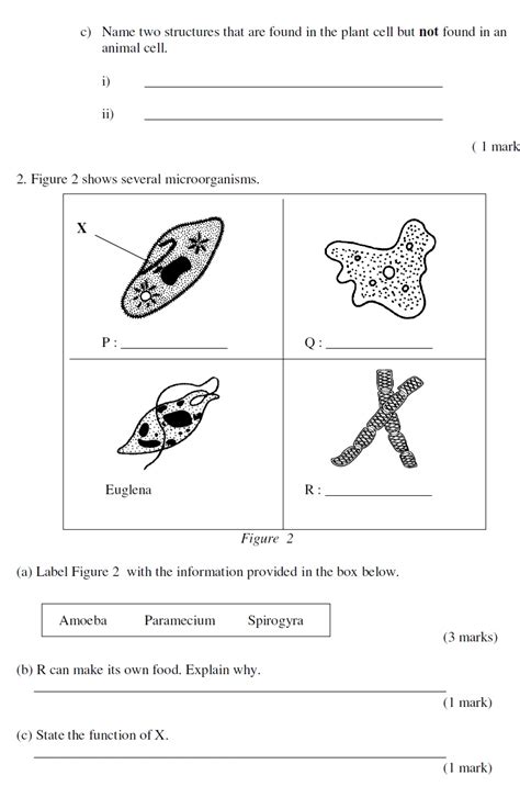 Science Form Exercise With Answers Topbooks Sap Complete All Your