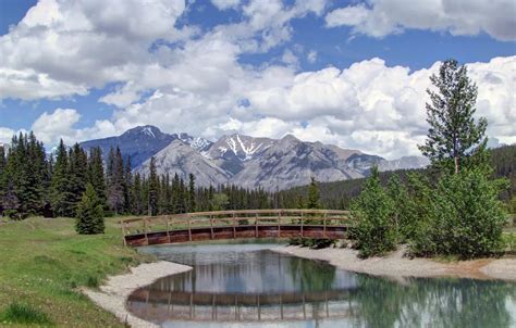 Wallpaper Forest Trees Mountains Bridge Pond Canada Albert Banff