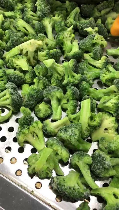 Iqf Frozen Green Broccoli Buy Iqf Broccoli Frozen Broccoli Broccoli