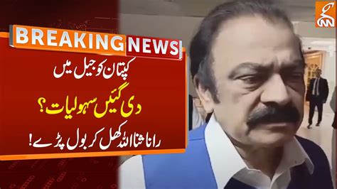 Rana Sanaullah Important Statement Regarding Imran Khan Breaking News