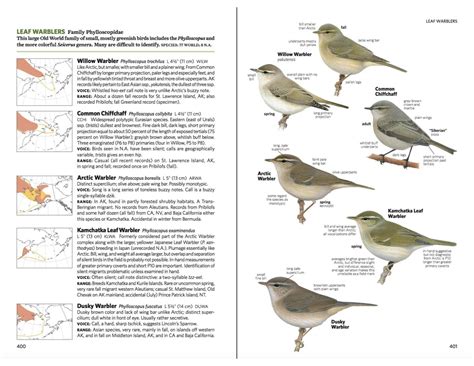 National Geographic Field Guide To The Birds Of North America 7th