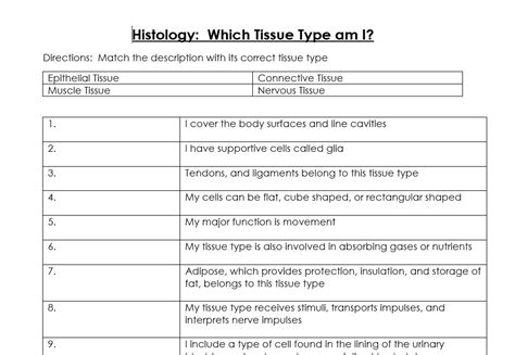 Histology Which Tissue Type Am I Worksheet Teaching Resources