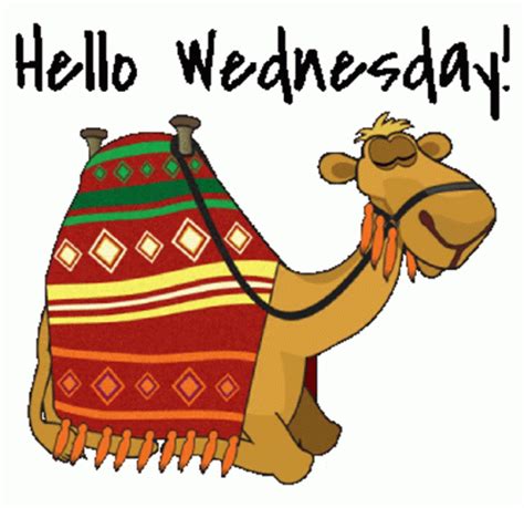 Wednesday Hump Day Motivation Animated Stickers Sticker Wednesday