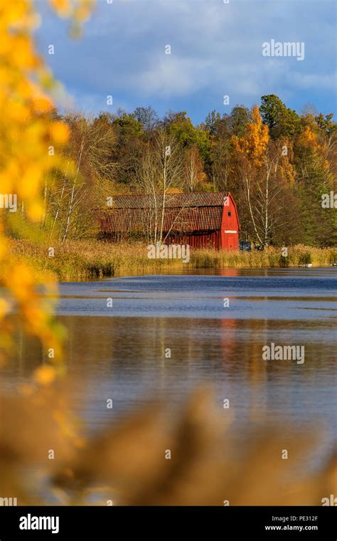 Colorful Swedish Rural Landscape In The Fall With A Traditional Red