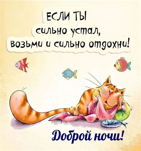 Пин от пользователя М. на доске Доброго сна! ️ | Смешные открытки, Ночь ...