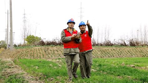 国网洪湖市供电公司峰口供电所：数字赋能 助力班组提质增效 荆楚网 湖北日报网