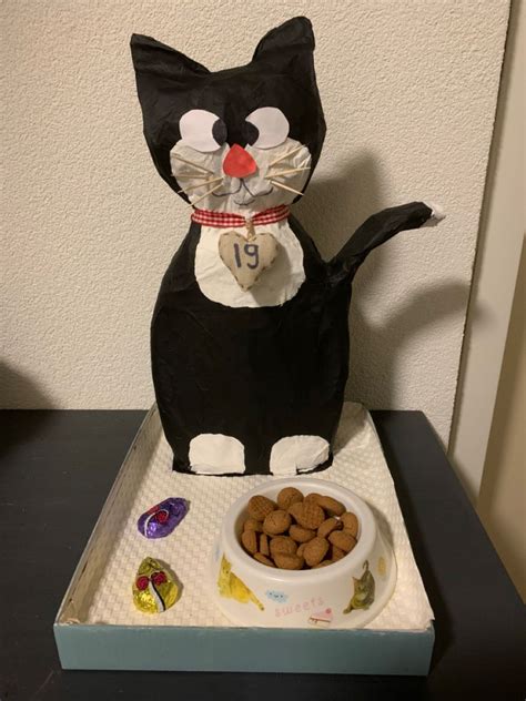 Sinterklaas Surprise Kat Gemaakt Van Een Wasmiddelfles En Papier Mache