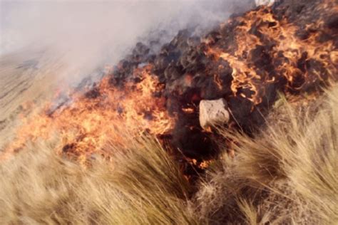 Incendio Forestal En Áncash Consume 15 Hectáreas De Pastos Naturales