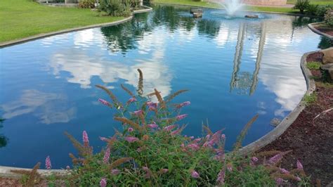 Premium Photo | Artificial pond and plants in garden