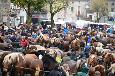 Que Faire En Haute Loire Ce Week End Toutes Les Activit S Et Sorties