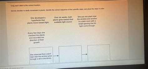 Drag Each Label To The Correct Location Sienna Decides To Study